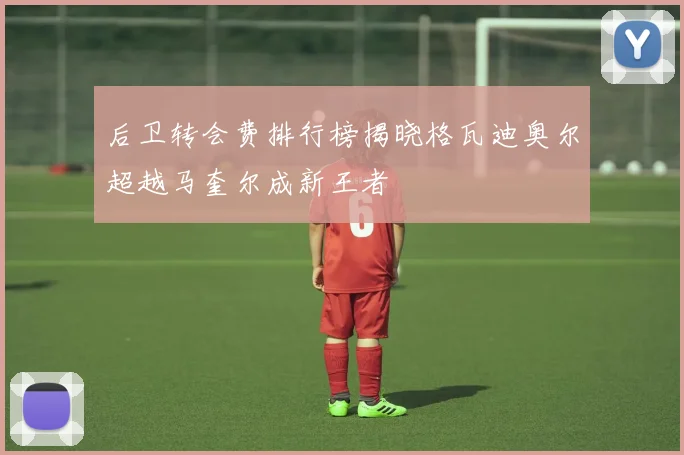 后卫转会费排行榜揭晓格瓦迪奥尔超越马奎尔成新王者